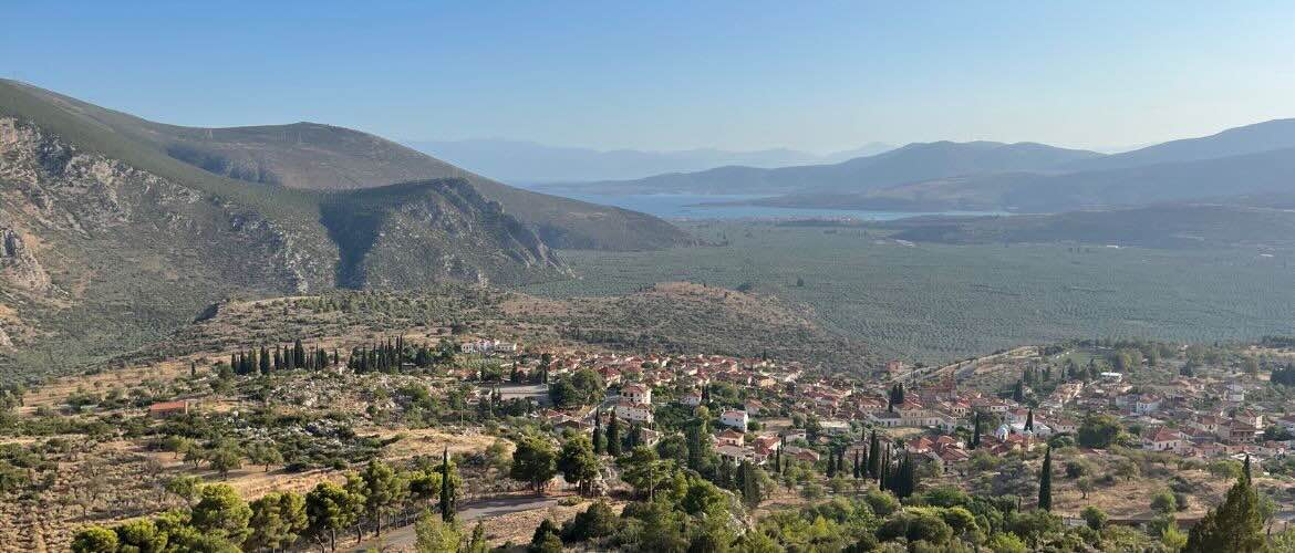 Delphi Olivenhain